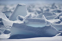 Pack ice, Arctic Bay, Admiralty Inlet, Canada