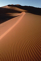 Landscape of rippling sand, Namib Desert, Namibia