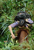 Nalini Nadkarni scrapes soil from tree trunk in Monteverde Cloud Forest Reserve, Costa Rica