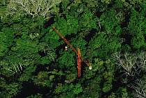 Forty meter rainforest canopy research crane used by researchers at Smithsonian Tropical Research Institute (STRI) at Parquet Metropolitan, Panama