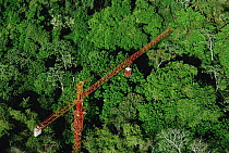 Forty meter rainforest canopy research crane used by researchers at Smithsonian Tropical Research Institute (STRI) at Parque Natural Metropolitano, Panama