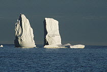 Icebergs in Isabella Bay, Baffin Island, Nunavut, Canada