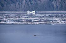 Inuit kayakers, Pond Inlet, northeast Baffin Island, Canada