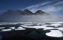 Ice floes in pond inlet, northeast Baffin Island, Canada
