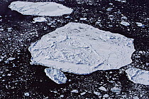 Aerial view of ice floes in Arctic Bay, Admiralty Inlet, Canada