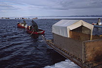 Inuit hunters crossing ice break, Admirality Inlet, Arctic Bay, Canada