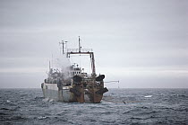 Antarctic Krill (Euphausia superba) trawler, Antarctica