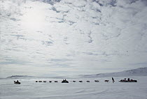 Inuits traveling by sled dogs, Northwest Territories, Canada