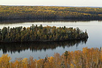 Northwoods in autumn, Minnesota