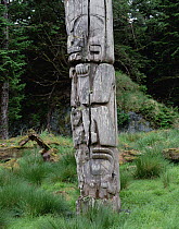 Haida totem poles, Queen Charlotte Islands, British Columbia, Canada