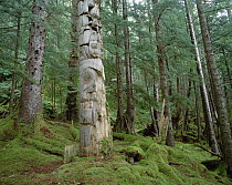 Native Alaskan Haida totem poles, Queen Charlotte Islands, British Columbia, Canada