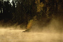 Morning fog over water, Boundary Waters Canoe Area Wilderness, Minnesota