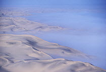 Fog over sand dunes in the Namib Desert, Namibia