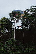 Research sled lowered onto rainforest canopy by a dirigible, Cameroon