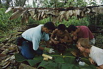 Dr Mark Moffet at right getting a close look at Golden Poison Dart Frog (Phyllobates terribilis) captured by Embera Choco Indians to make poison-tipped darts, Colombia