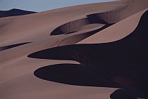 Sand dunes, Namib Desert, Namibia