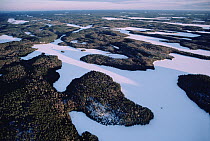 Boreal forest and frozen lakes, Boundary Waters Canoe Area Wilderness, Minnesota