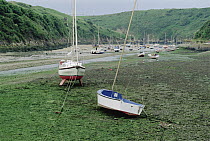 Boats stranded at low tide, Wales, United Kingdom