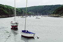 Sailboats floating during high tide, Wales, United Kingdom