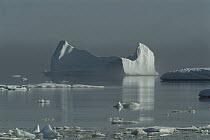 Icebergs in Isabella Bay, Baffin Island, Canada