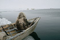 Bowhead Whale (Balaena mysticetus) hunter, an Inuit in traditional clothes sits in sealskin boat waiting for whales, Barrow, Alaska