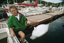 Toxicologist Pierre Beland with dead pregnant Beluga (Delphinapterus leucas) whale, possibly killed by toxic pollution, Tadoussac, Gulf of St Lawrence, Canada