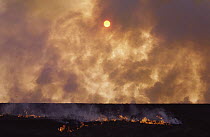 Prairie burn in Tallgrass Prairie National Preserve, Oklahoma