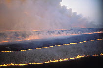 Prairie burn in Tallgrass Prairie National Preserve, Oklahoma
