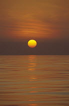 Sunset over calm ocean, Sri Lanka