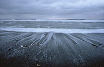 Surf receding back into the Pacific Ocean, Olympic National Park, Washington