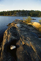 Granite outcropping in Boundary Waters Canoe Area Wilderness, Northwoods, Minnesota