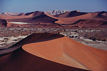 Landscape of sand dunes, Namib Desert, Namibia