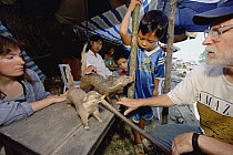 Marjorie Matocq and James Patton examining mammals illegally caught for sale to tourists, Tam Dao National Park, Vietnam
