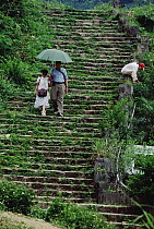 Tourists descending an old French staircase, Tam Dao National Park, Vietnam