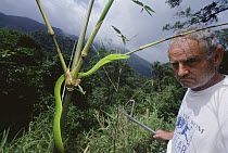 Vine Snake and herpetologist Ted Papenfuss, Tam Dao National Park, Vietnam