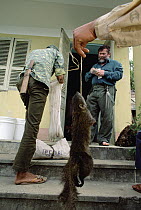 Russian herpetologist Nikolai Orlov purchasing a squirrel from villager, Tam Dao National Park, Vietnam