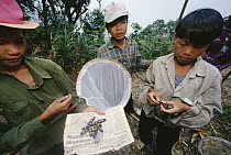 Local children show beetles they have collected for sale, Tam Dao National Park, Vietnam