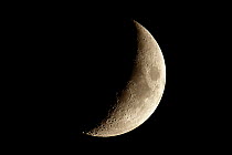 Crescent moon, Northwoods, Minnesota