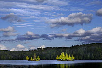 Section 12 Lake, Boundary Waters Canoe Area Wilderness, Minnesota