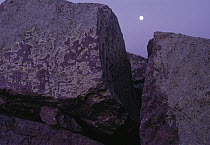 Lichen-covered rocks and full moon, Blue Mounds State Park, Minnesota