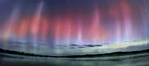 Aurora borealis over Jasper Lake, Northwoods, Minnesota
