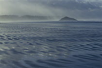 Beach on Clayoquot Sound, Vancouver Island, British Columbia, Canada