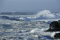 Crashing waves, Long Beach, Clayoquot Sound, Vancouver Island, British Columbia, Canada