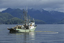 Purse-seine fishing for salmon, Clayoquot Sound, Vancouver Island, British Columbia, Canada