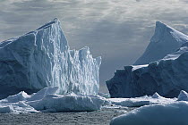 Icebergs and ice floes in the Weddell Sea, Antarctica