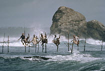 Men fishing on poles, south coast, Sri Lanka