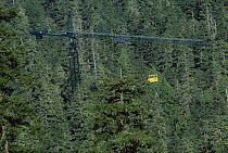 Researchers suspended in gondola from crane's 280 foot arm over canopy, Wind River, Washington