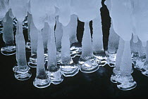 Icicles formed on frozen river, Nagano, Japan