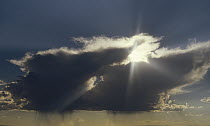 Sun shining through storm cloud, Montana