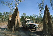 Tourist in Land Rover driving by tall termite mound, South Australia